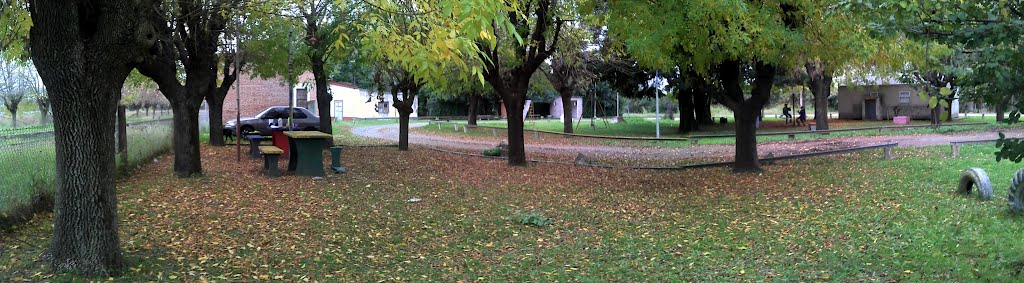 Goldney en otoño by braco aleman