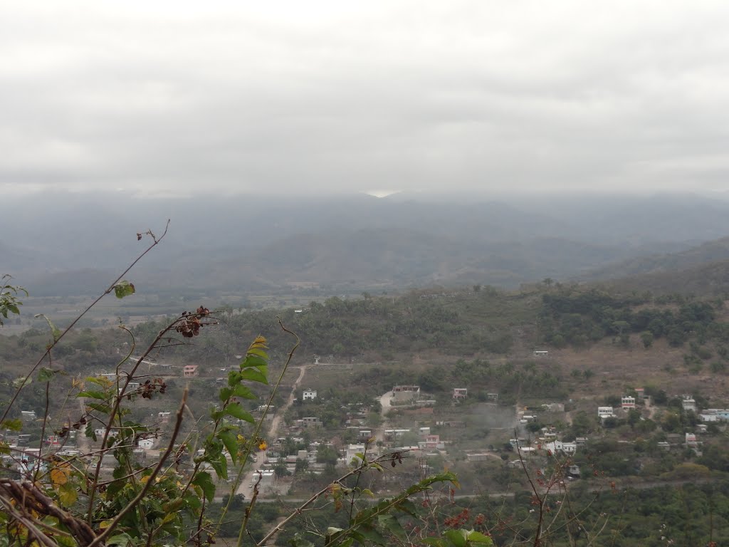 RINCÓN DE GUAYABITOS Y SELVA TROPICAL by Fernando Abundis