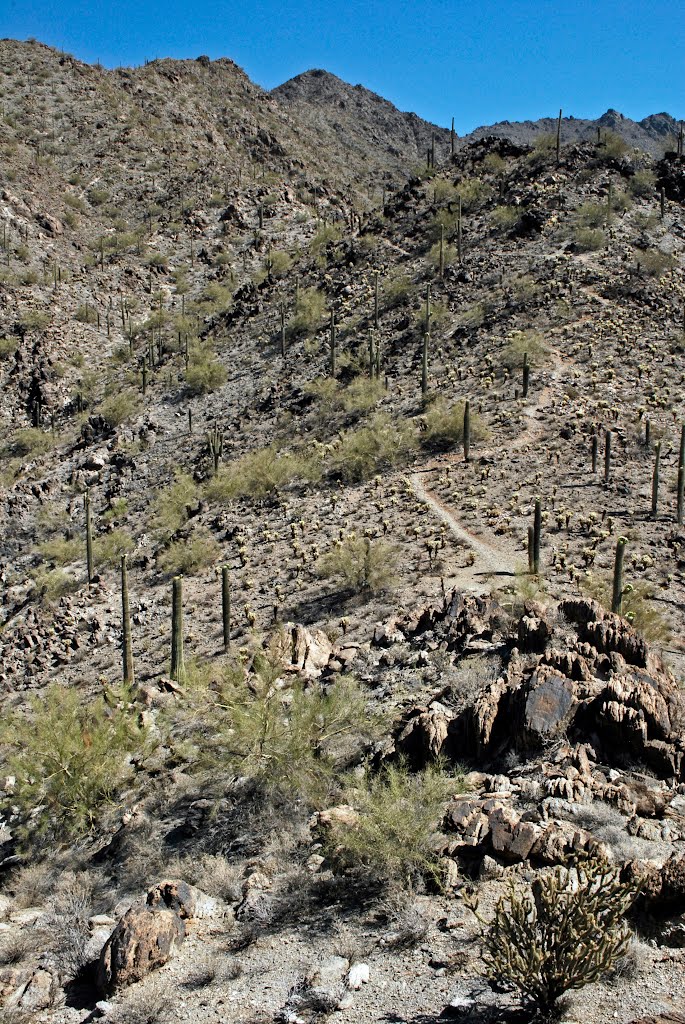 Quartz Peak Trail, AZ by bobbudi