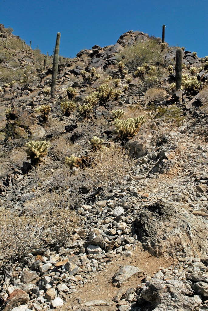 Quartz Peak Trail, AZ by Robert Budinoff