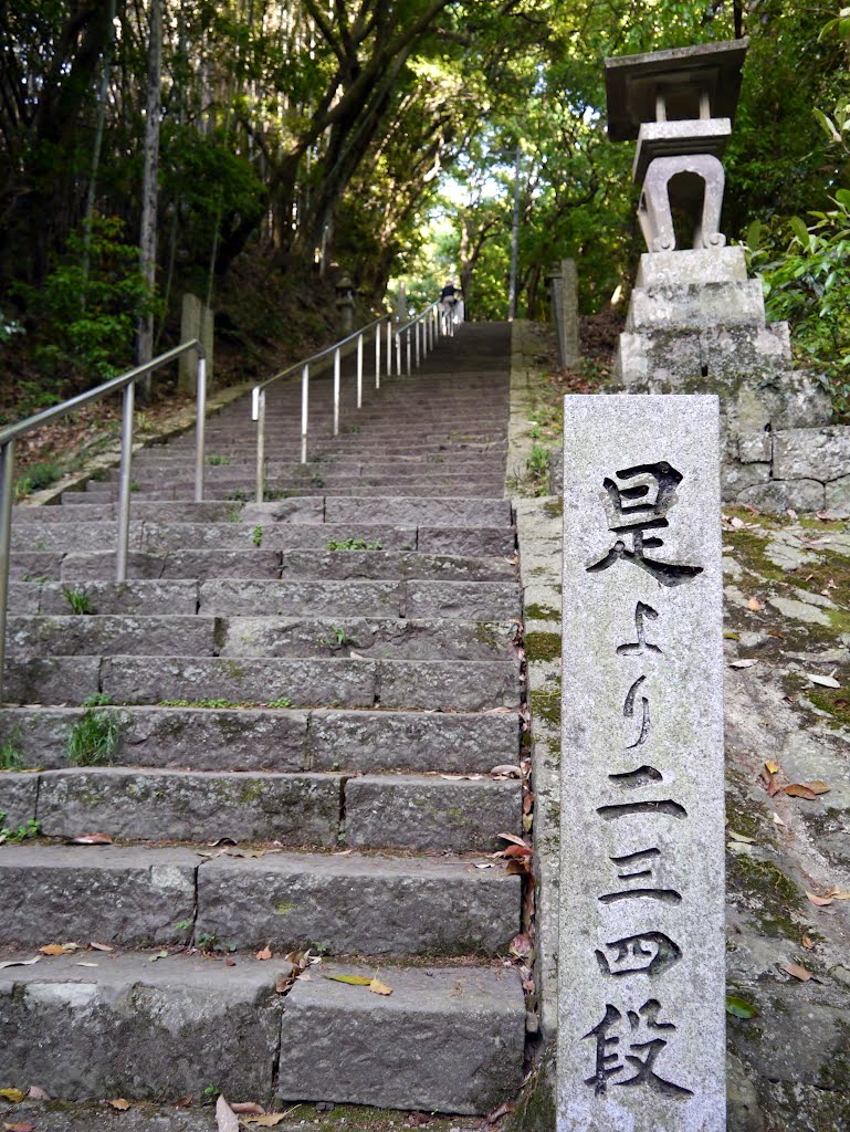 四国八十八ヶ所霊場　十番札所　切幡寺　参道（女厄坂、男厄坂） by folon X