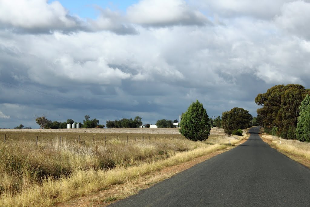 Over the Hill to Balldale by Whroo70