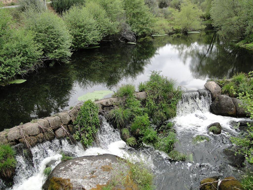 Rio Dinha, antes da ponte. by joãomedina