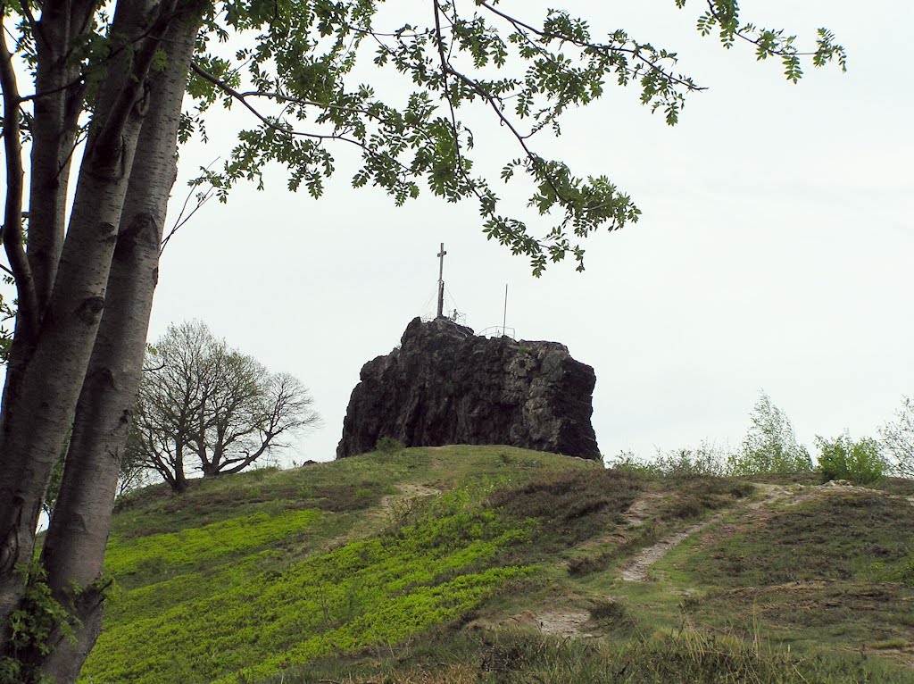 Die Gegensteine (Teufelsmauer) bei Ballenstedt by Wo Ko