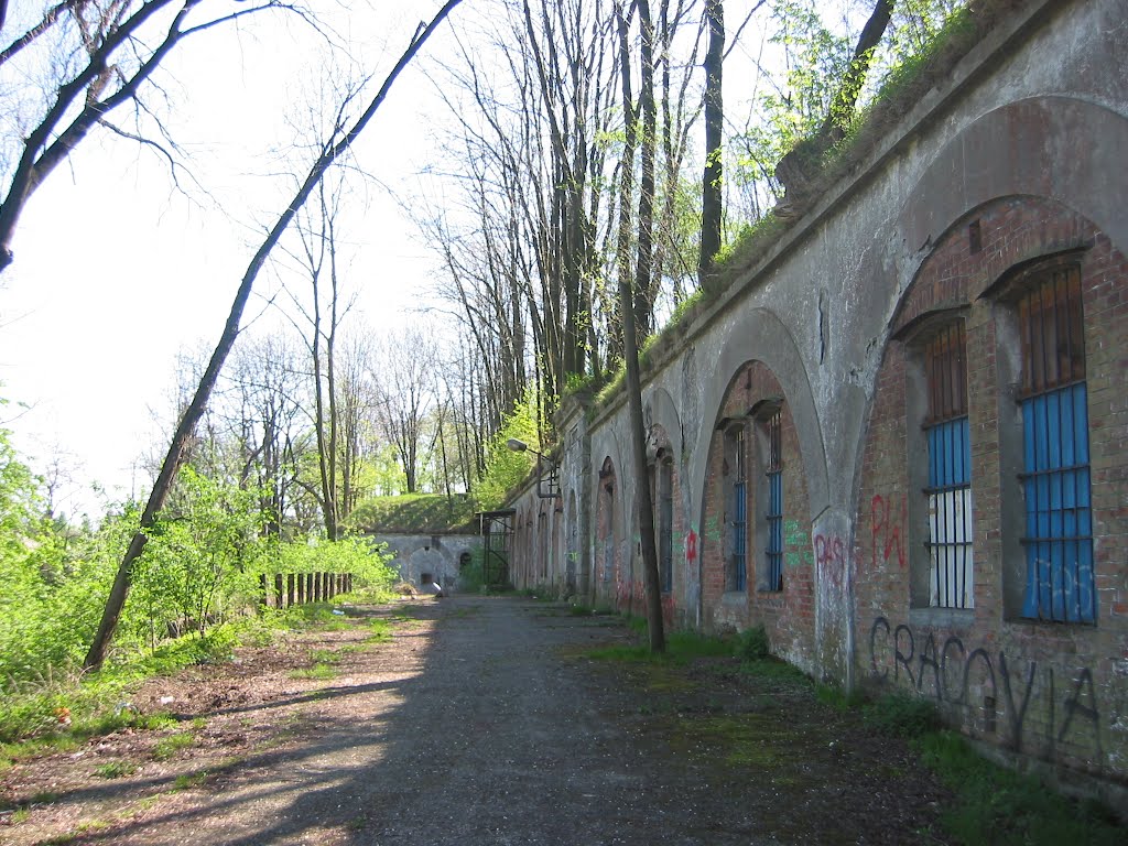 Fort Rajsko by Krzysztof Szafraniec