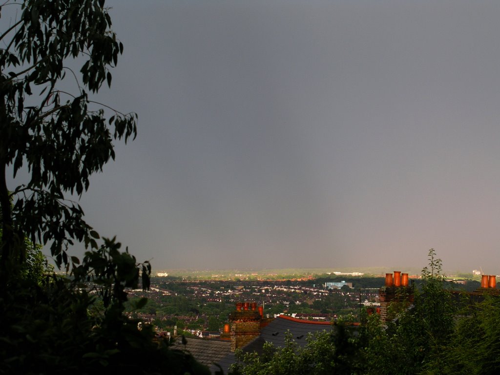 Summer storm in forest hill by sandgold