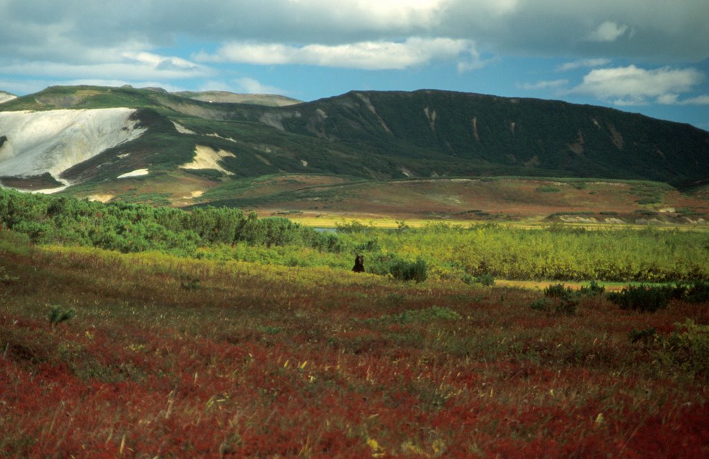 Autumn colors in Uzon caldera by wal+