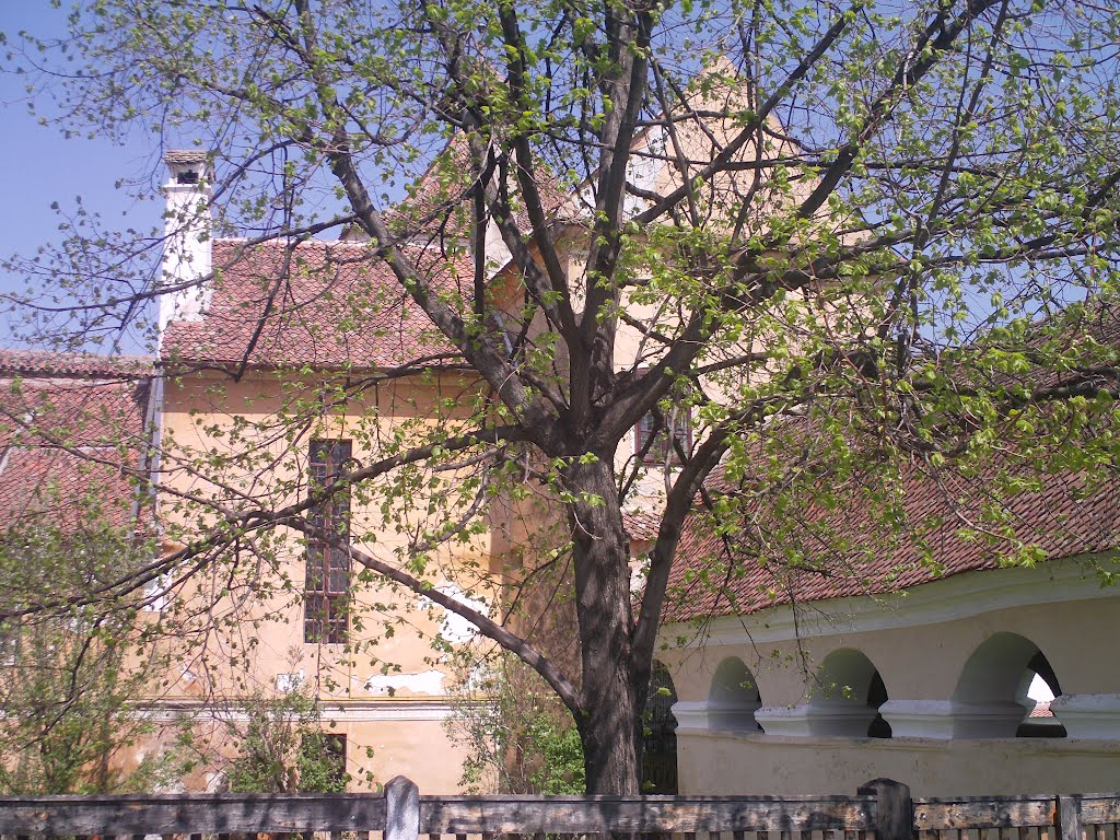 Biserica fortificata Harman - Brasov by stefan alexandrescu