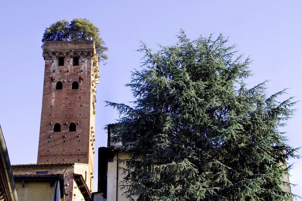 tower Lucca by Frits Visser