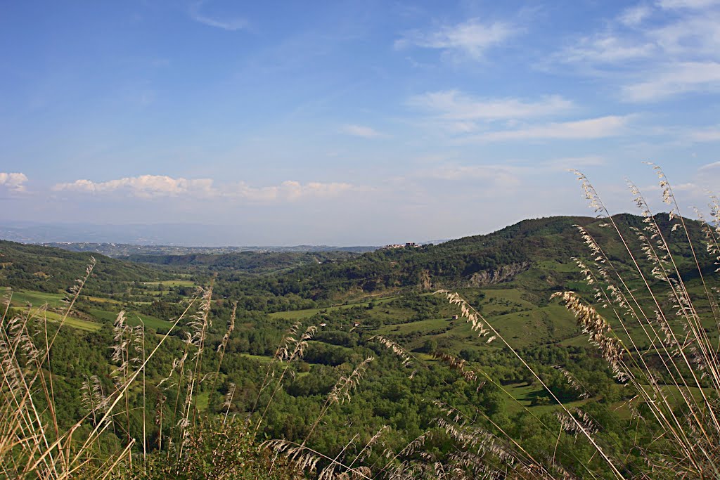 San Sosti: valle del fiume Occido by domenico.martire