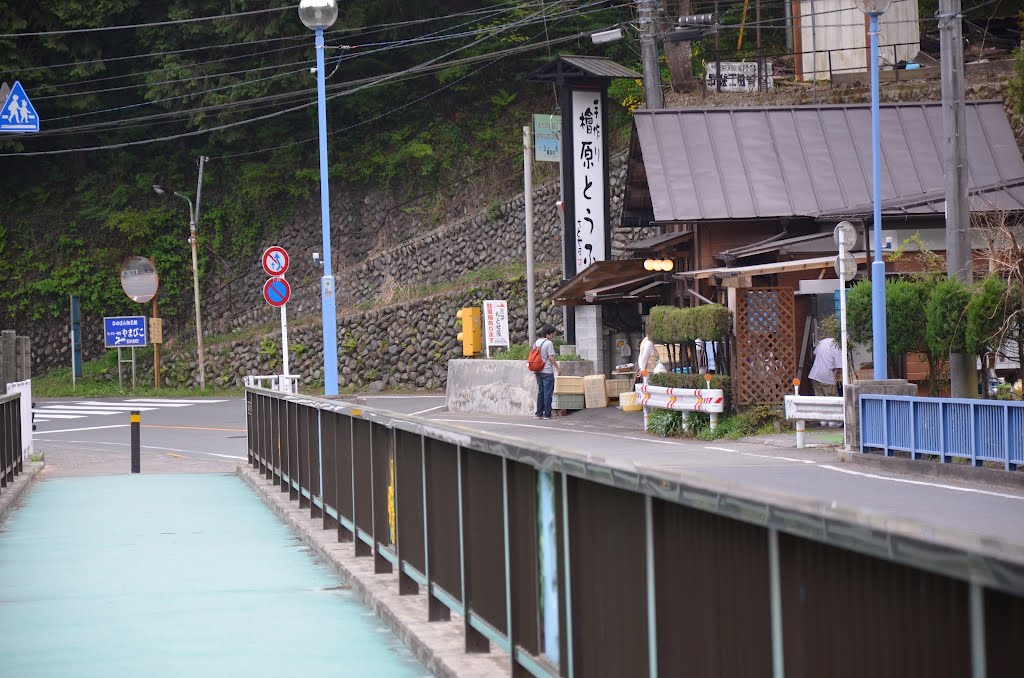 20120429_奥多摩～登計～鋸山～つづら岩～千足～ちとせ屋 158 by Norimoto Sasaki