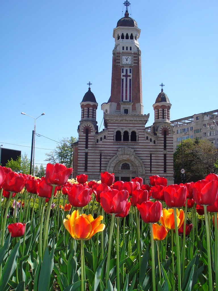 Centru, Ploiești, Romania by manolescu_ioan