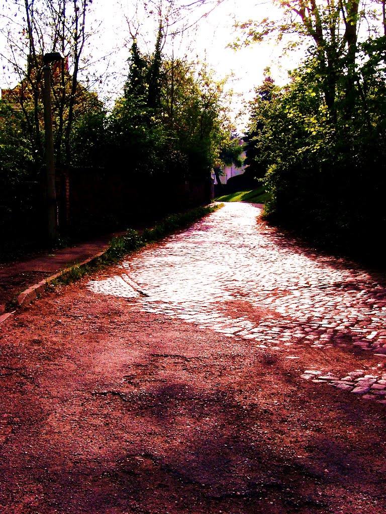 "Silberweg" (Pfarrstraße), 2012 by Jörg Hofmann