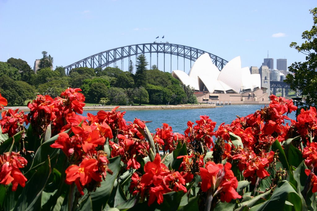 Sydney Harbour Bridge by bmadden