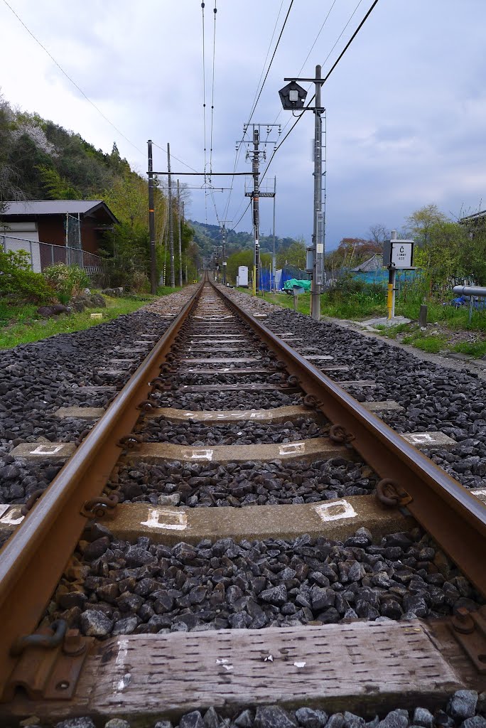 Obikane, Minobu, Minamikoma District, Yamanashi Prefecture 409-2403, Japan by s okubo