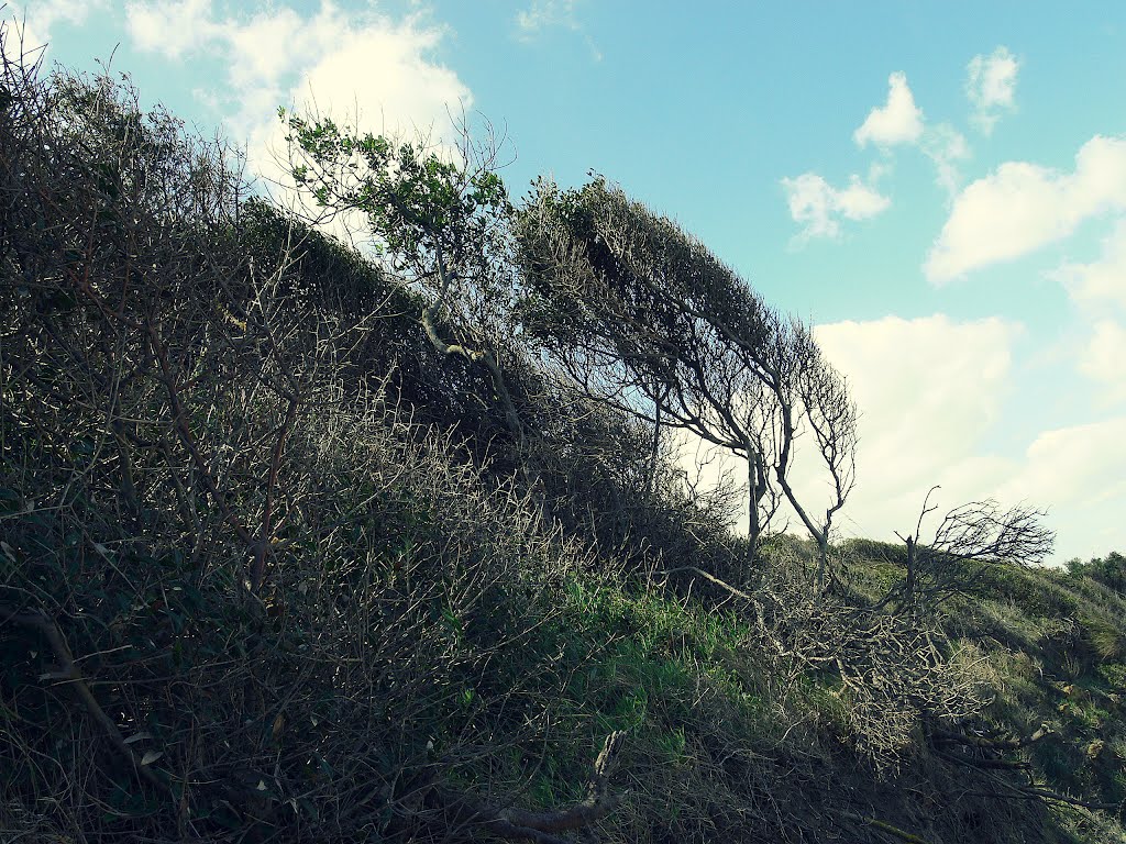 Settefrati - Sicilia by Alessandro Touch