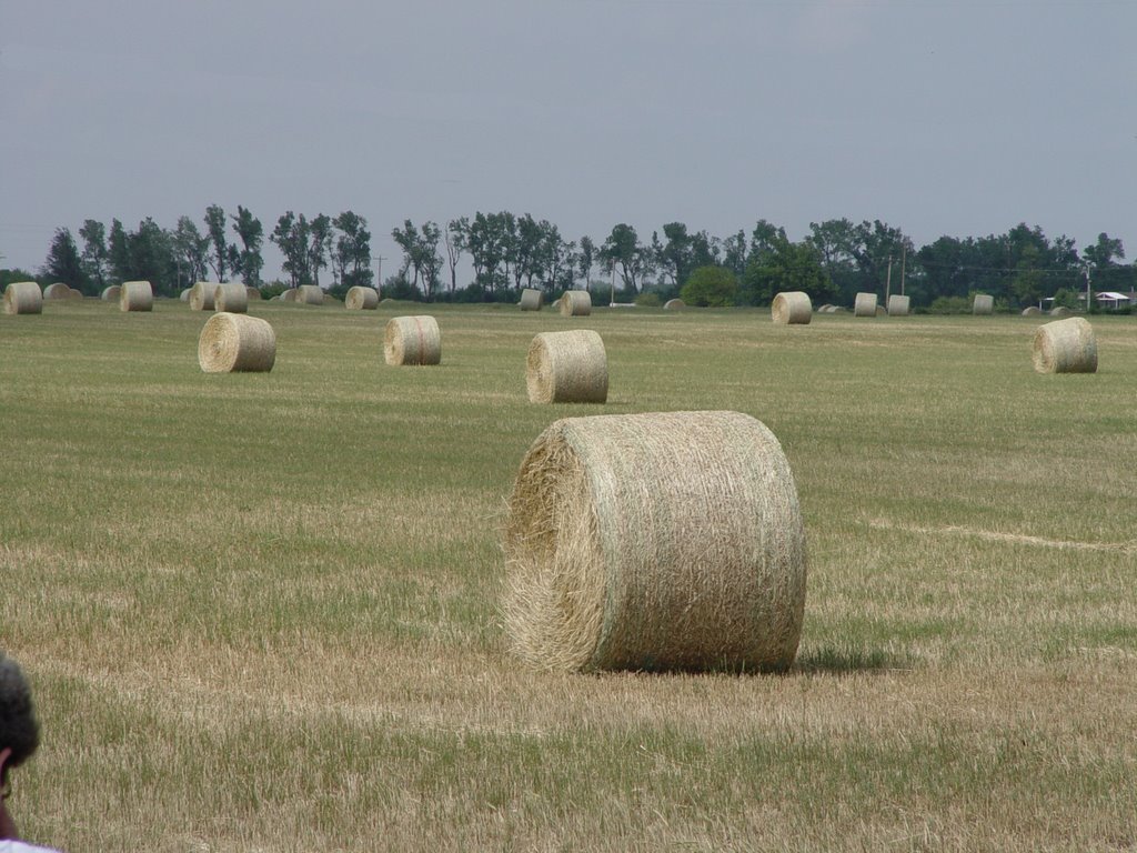 Round Bales Mustang OK by ojiisan