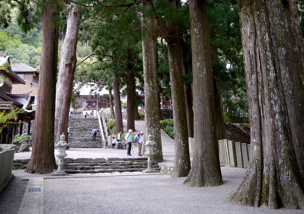 四国八十八ヶ所霊場　十二番札所　焼山寺　杉並木【徳島県指定天然記念物】 by folon X