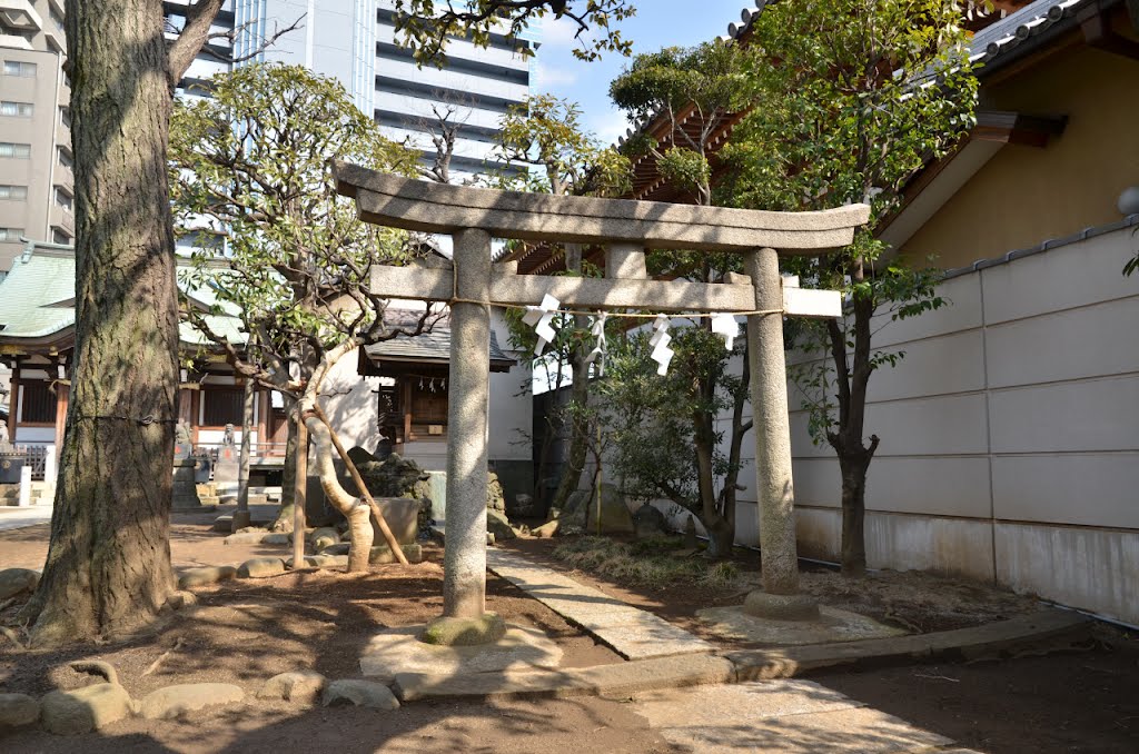 Sengen-Jinja 浅間神社 (2012.03.20) by k.takita