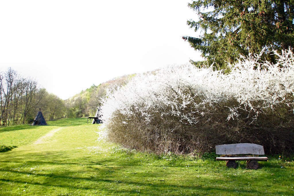 Frühling am Gondelteich by Andreas B. Otte