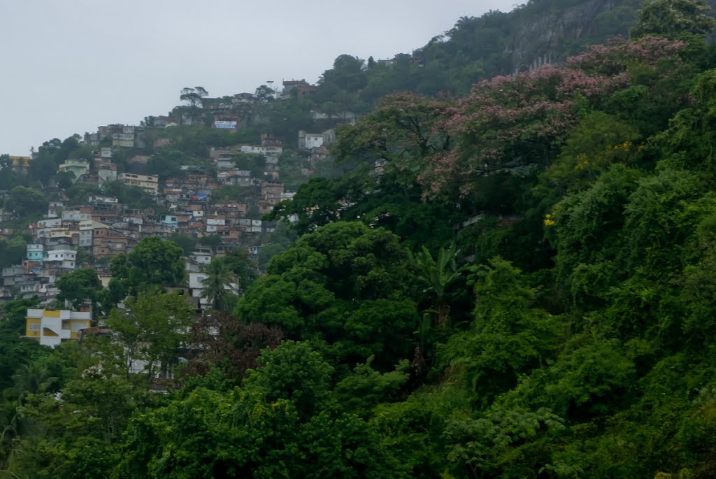 Rio de Janeiro by Jose de Almeida