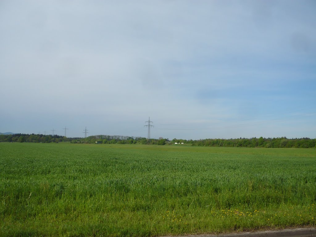 Ettlingen West: Blick nach Süden / View towards south by GuSch