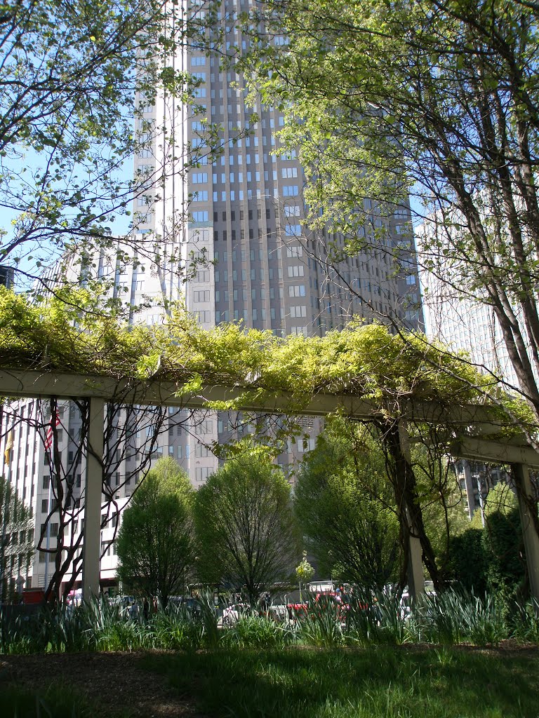 Park and green area near Downtown Core - Pittsburgh by Larry LaRose