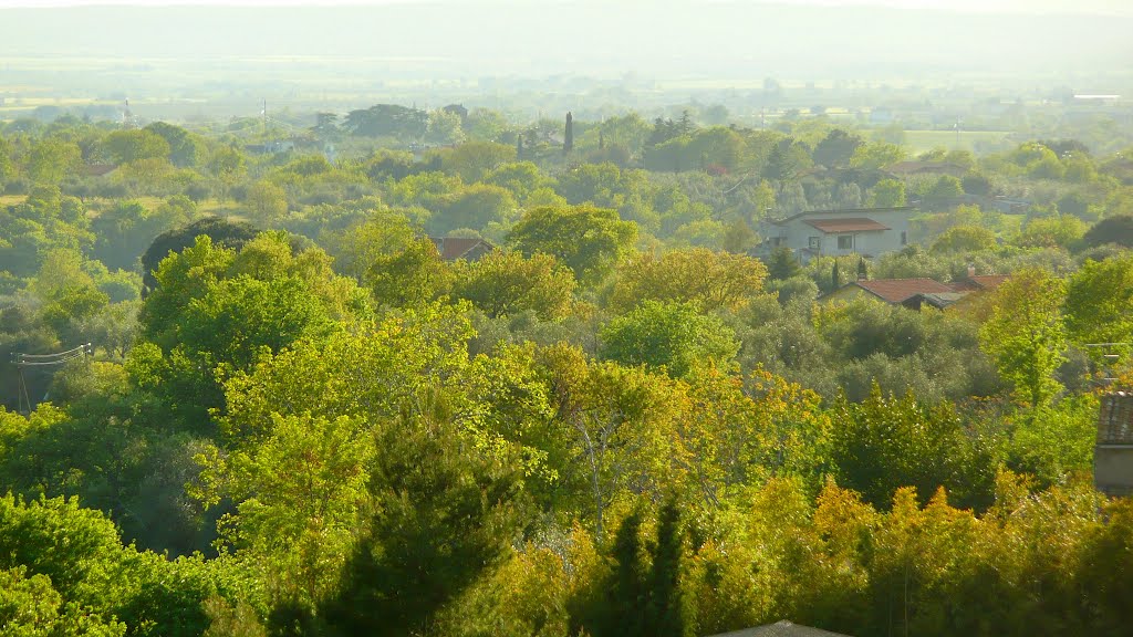 Green Viterbo sud by Antonio Cignini