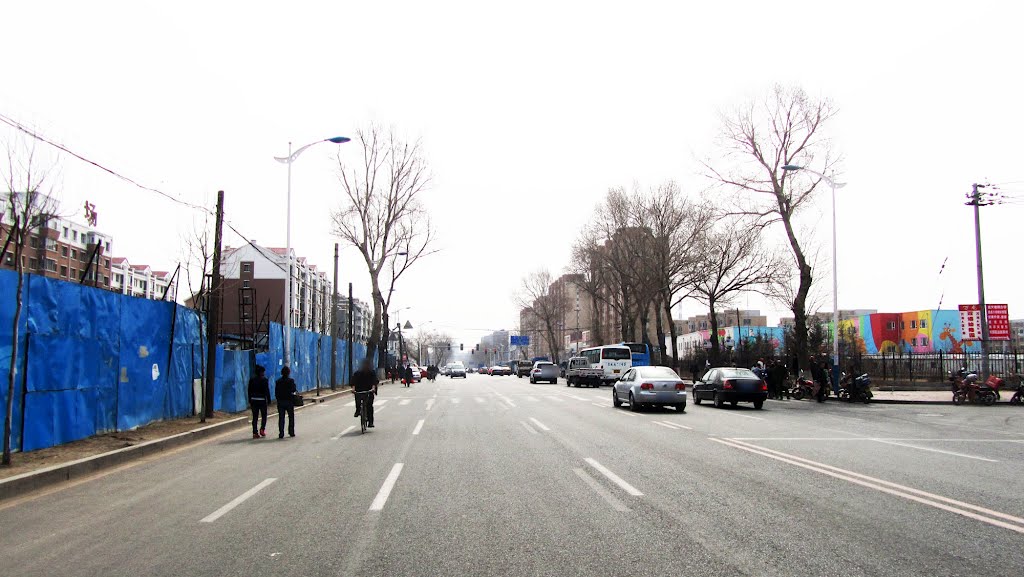 柳影路Liuying Rd.（面向东北）Facing North-East by wanghongtao199