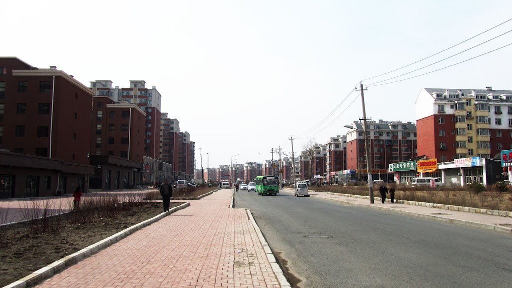 菜市南街（面向西南）Caishi South St.,Facing South-West by wanghongtao199