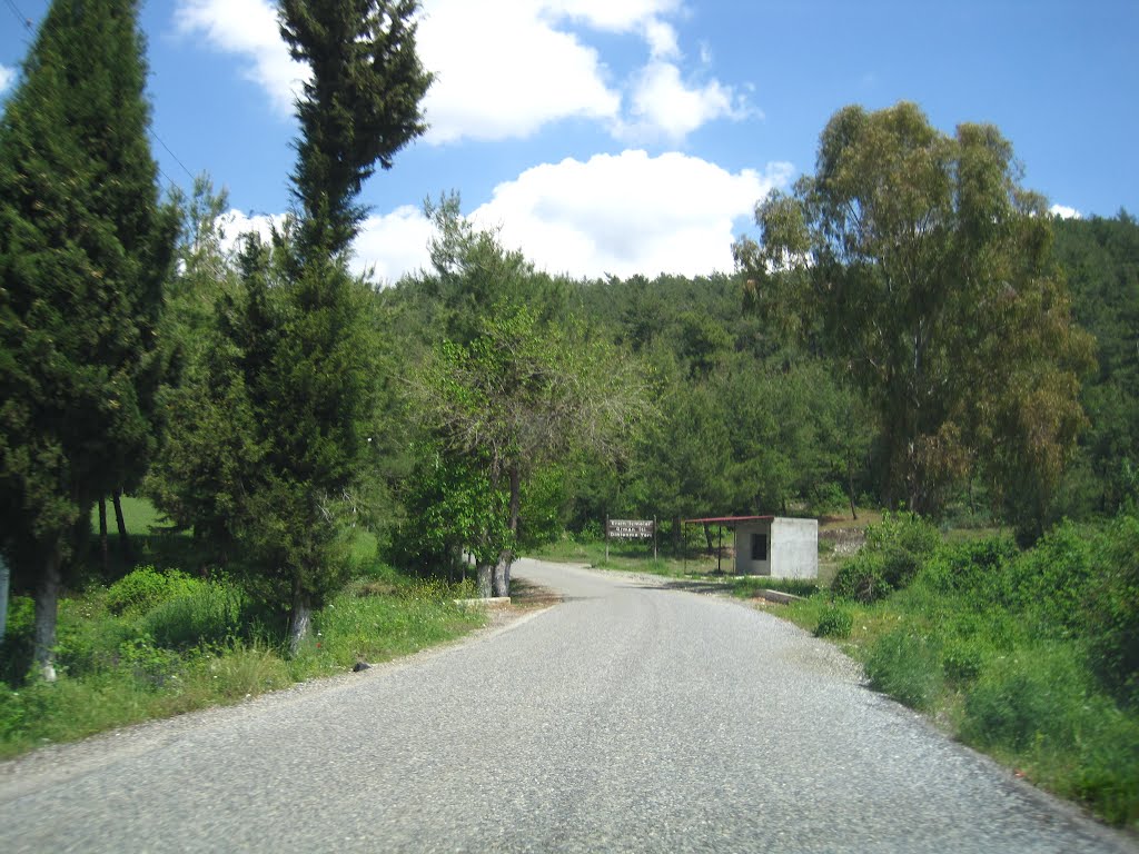 Şahin tepesi yolu by M. Ezher GÜNAY