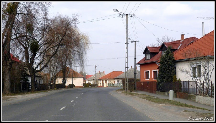 Vásárosnamény, Hungary by Szemes Elek