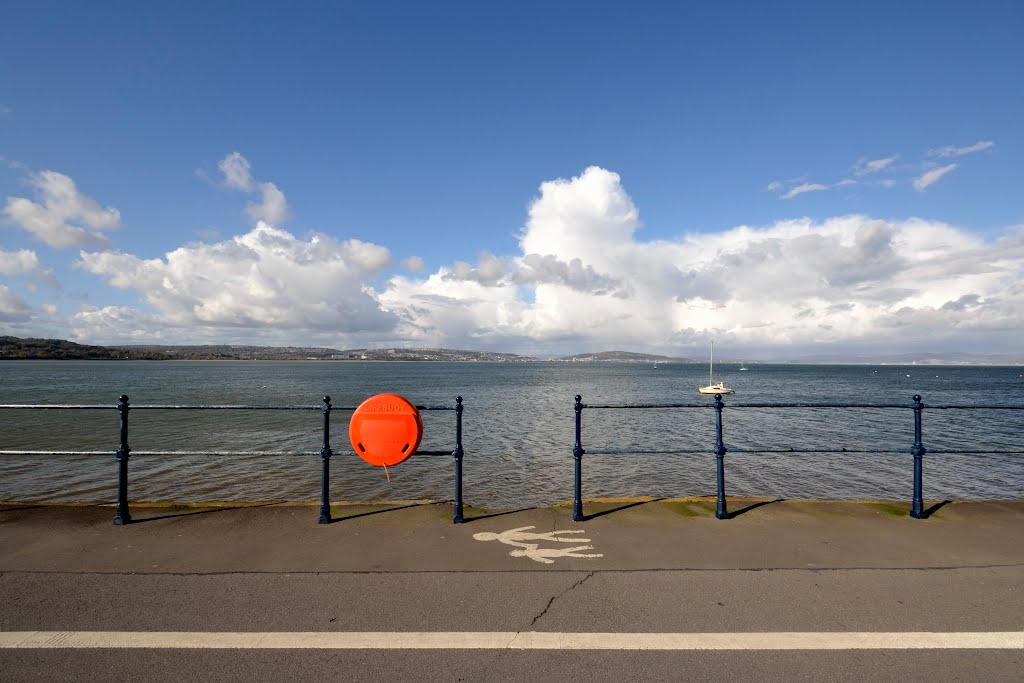 White paint swansea bay by fat-freddies-cat