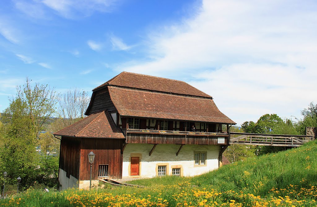 Musée de Morat by Bogdan KUSMUK