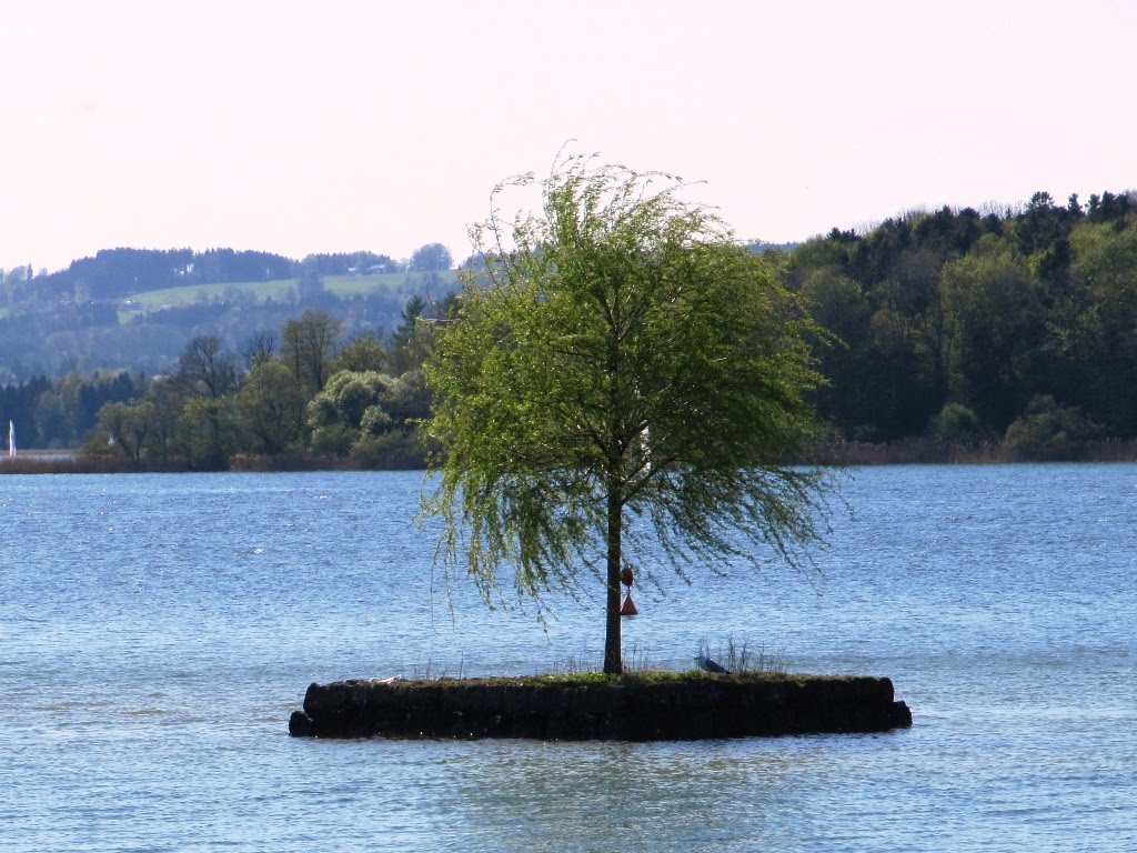 Isolotto sul lago di Chiem by Luca Marcolla