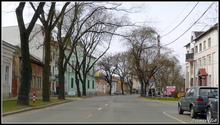 Nyíregyháza, Hungary by Szemes Elek