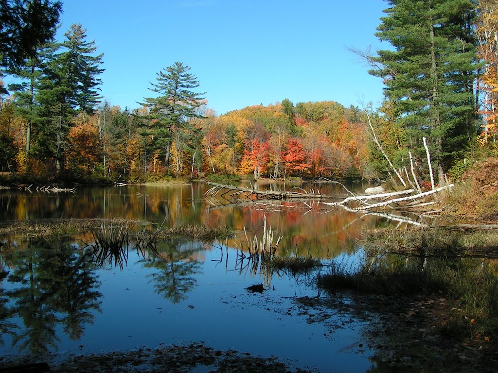 Mountain pond, Paul Smiths, NY, oct 13, 2004 by Tom Dudones