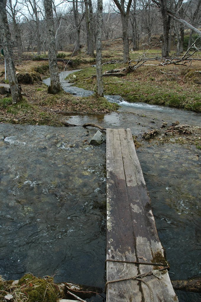 雪解け水で増水して橋の長さが足りない（櫃取湿原）('12.4.30) by Mikochan