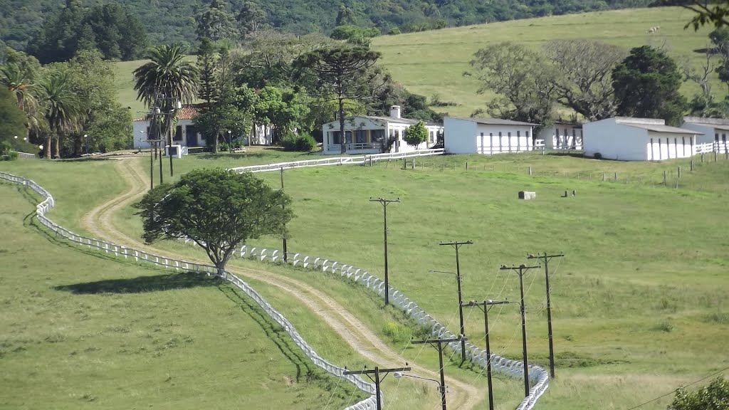 Fazenda Cardano al Campo, Capão do Leão, RS by Ubirajara Cruz