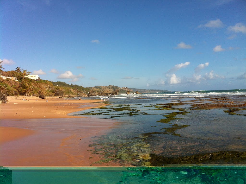 Tidal pools in Bathsheba, Barbados by Sea-U Guest House Ba…