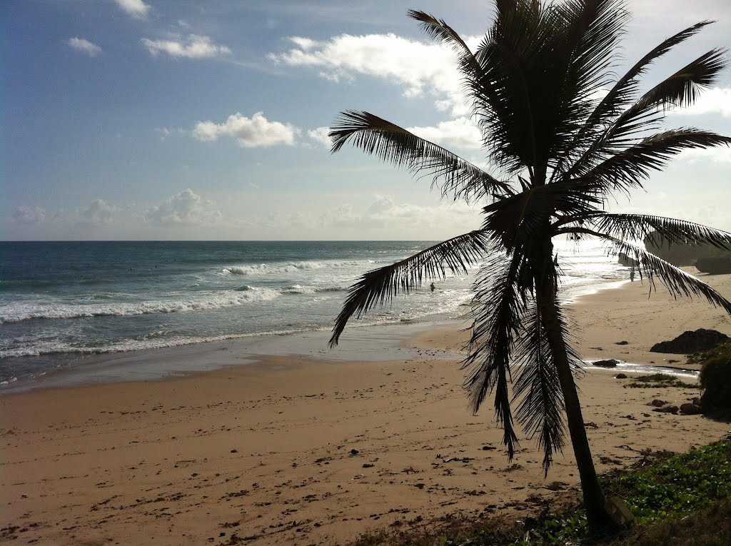 Soup Bowl, the Surf spot in Bathsheba by Sea-U Guest House Ba…