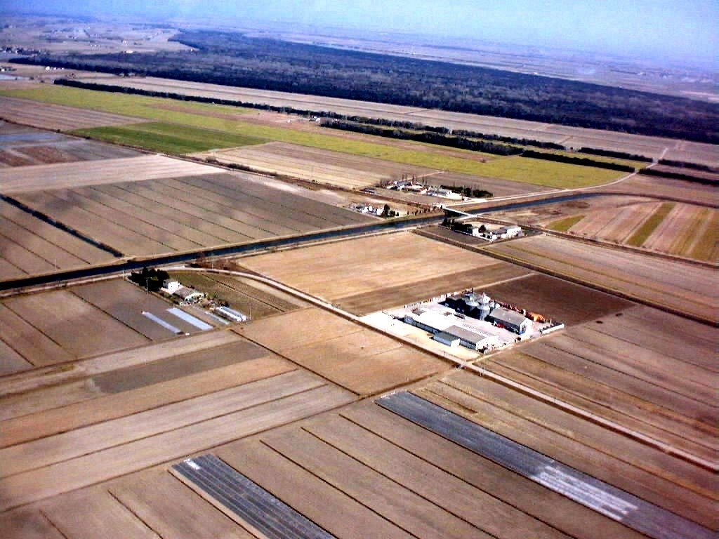 Boscone della Mesola e aviosuperficie Valle Gaffaro by Claudio Pedrazzi