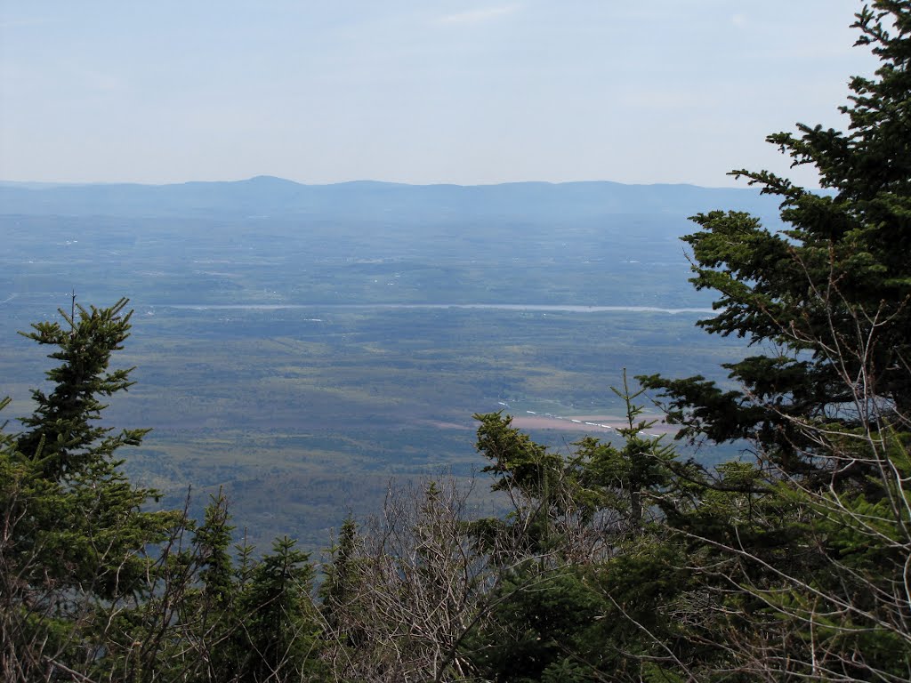 View East from Escarpment Trail Junction by Chris Sanfino