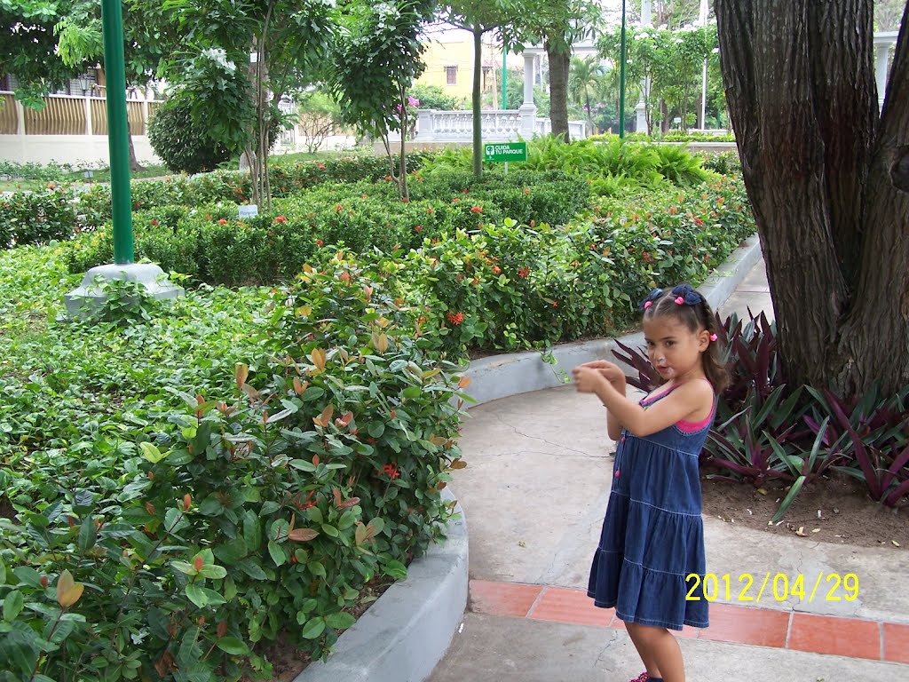 El Prado, Barranquilla, Atlántico, Colombia by jtarrahe