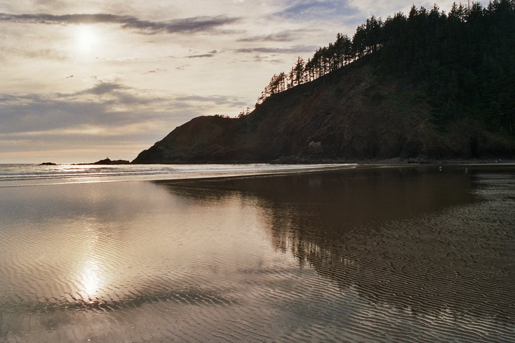 Ecola Beach by Brad Lyons