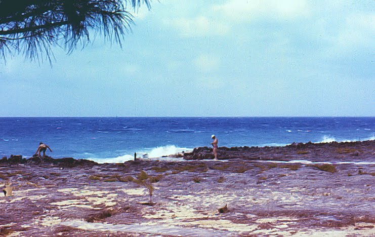 Sunset House Grand Cayman 1971 by Lawrence R. LaMere, …