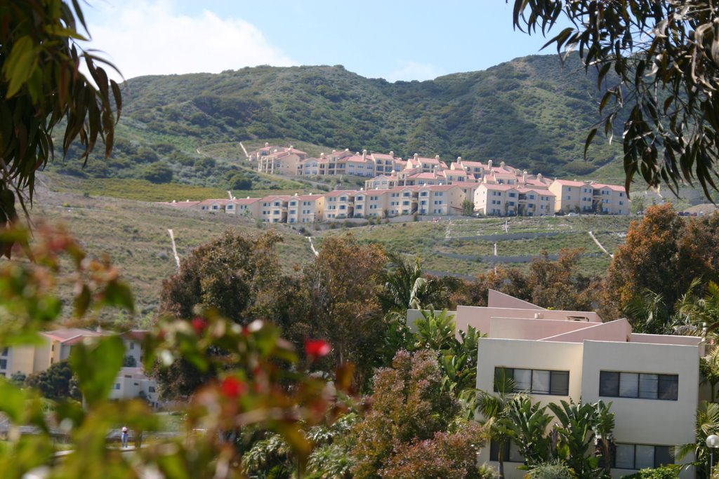 Pepperdine University, Malibu, CA by wolffystyle