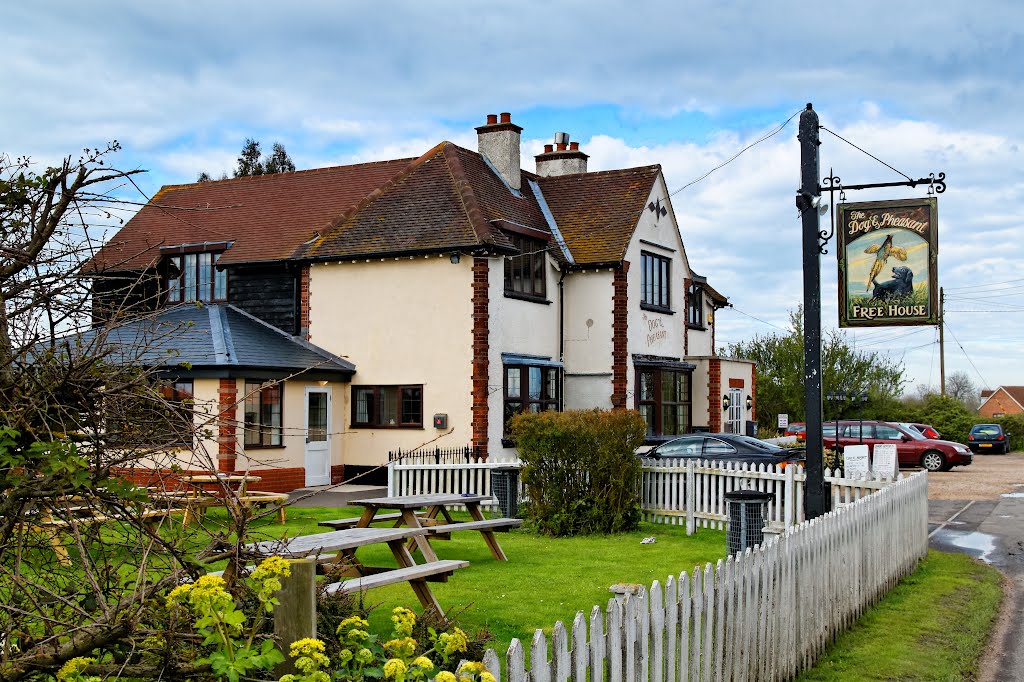 The Dog & Pheasant pub & restaurant, East Mersea, Essex, April 2012 by keithb