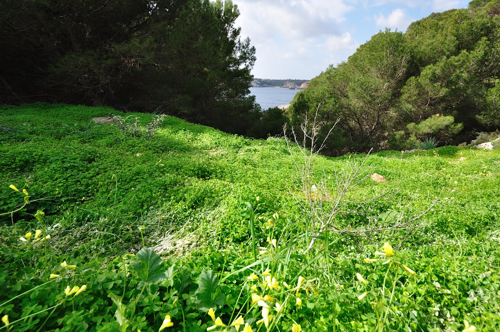 Cala Santanyi by maiermo