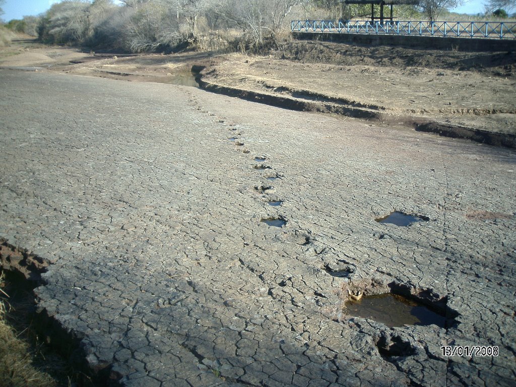 Vale dos dinossauros, Sousa-Paraíba (Carlyle) by carlyle